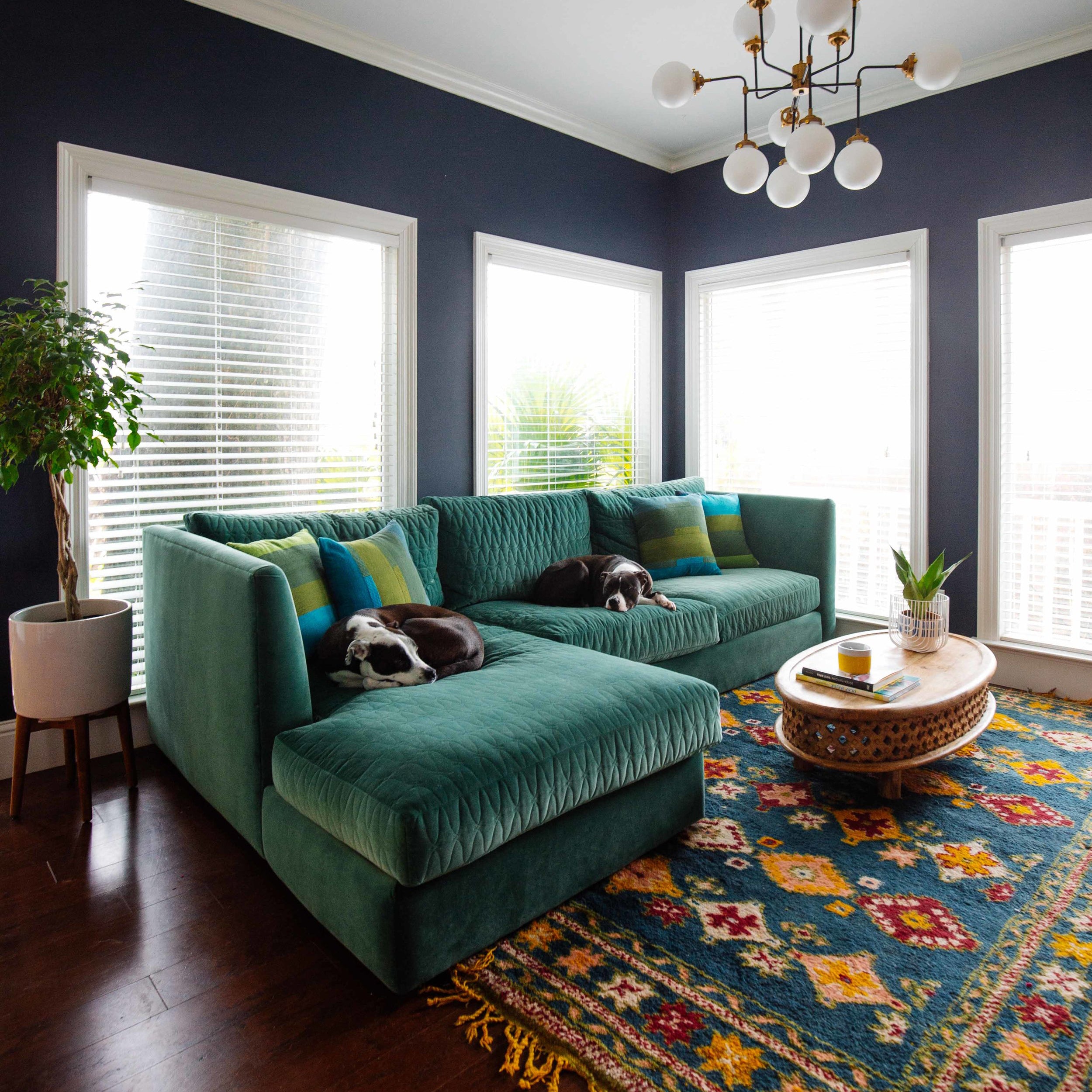 غرف معيشة ومكتبات